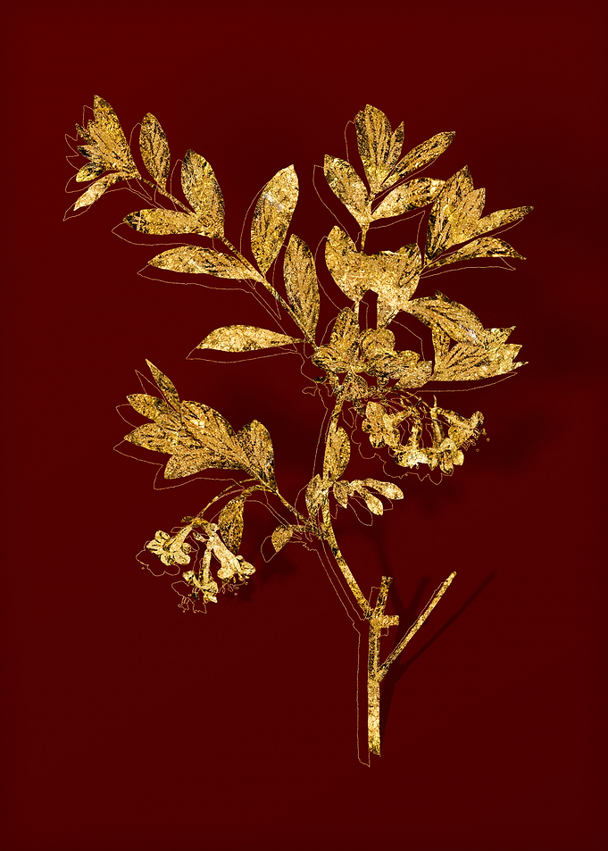 Gold Botanical on Red