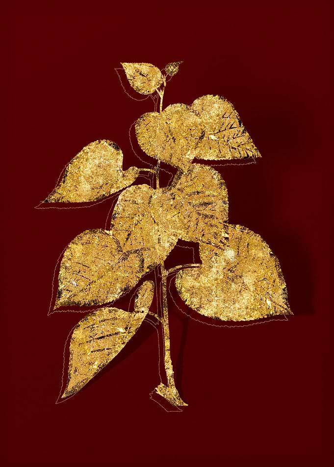 Gold Botanical on Red