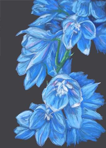 Flowers of Reflection