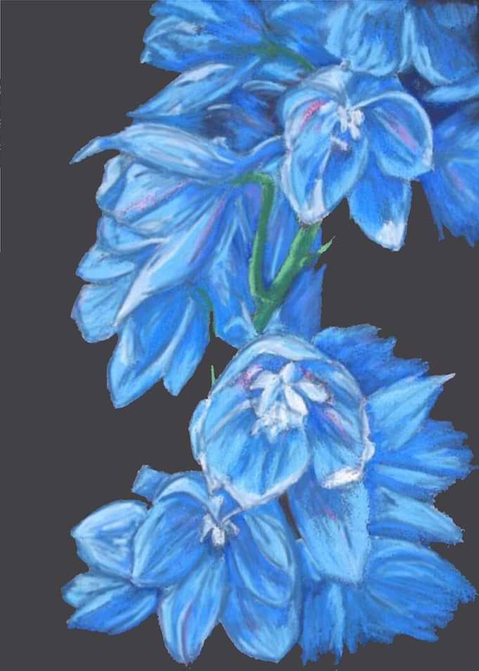 Flowers of Reflection