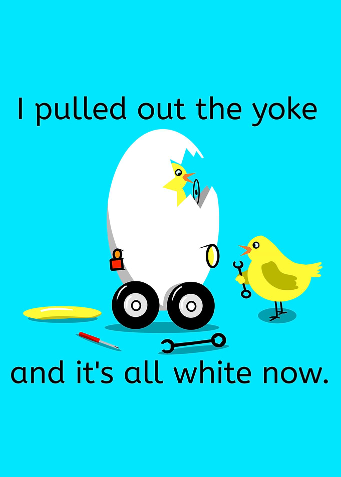 Egg Pun