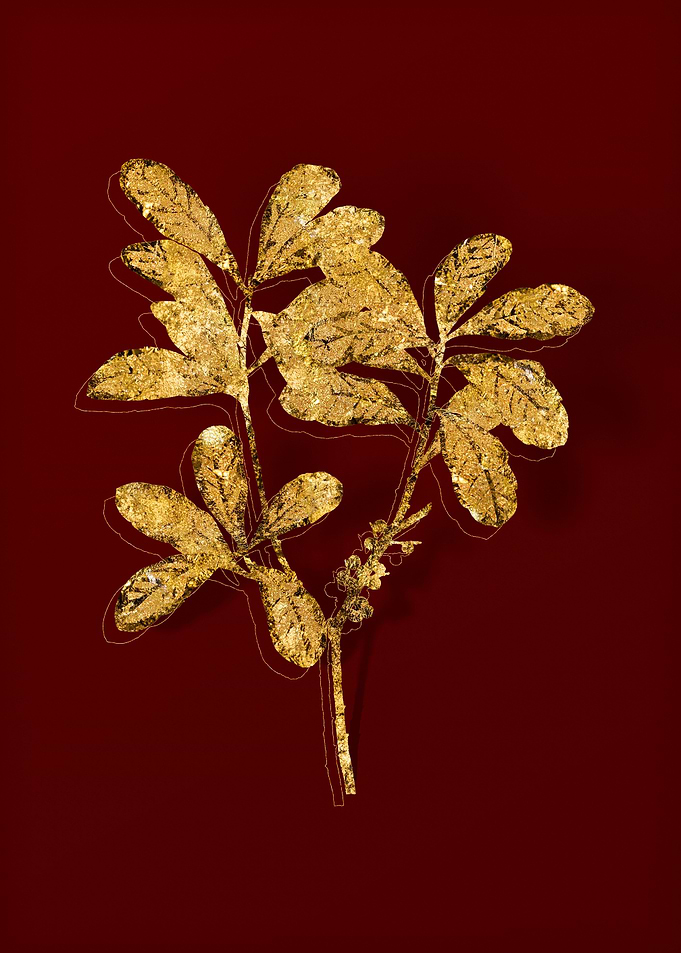 Gold Botanical on Red