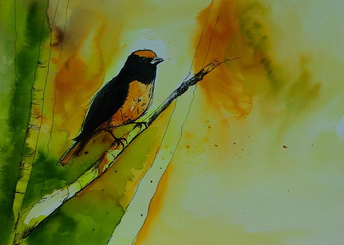 Summer bird