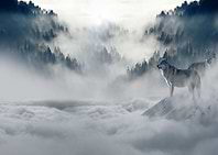 Wolves in Foggy Forest
