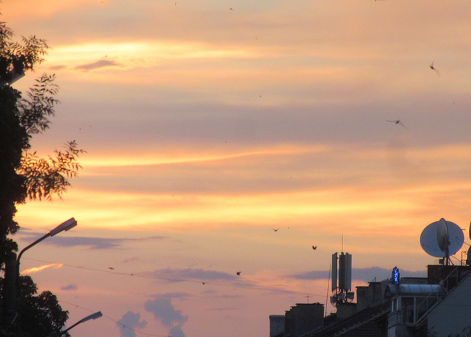 beautifuk sky
