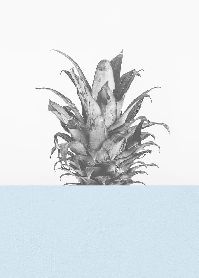 Scandinavian pineapple III