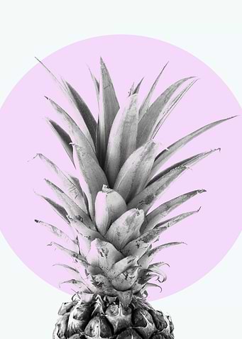 Photo Pineapple IV