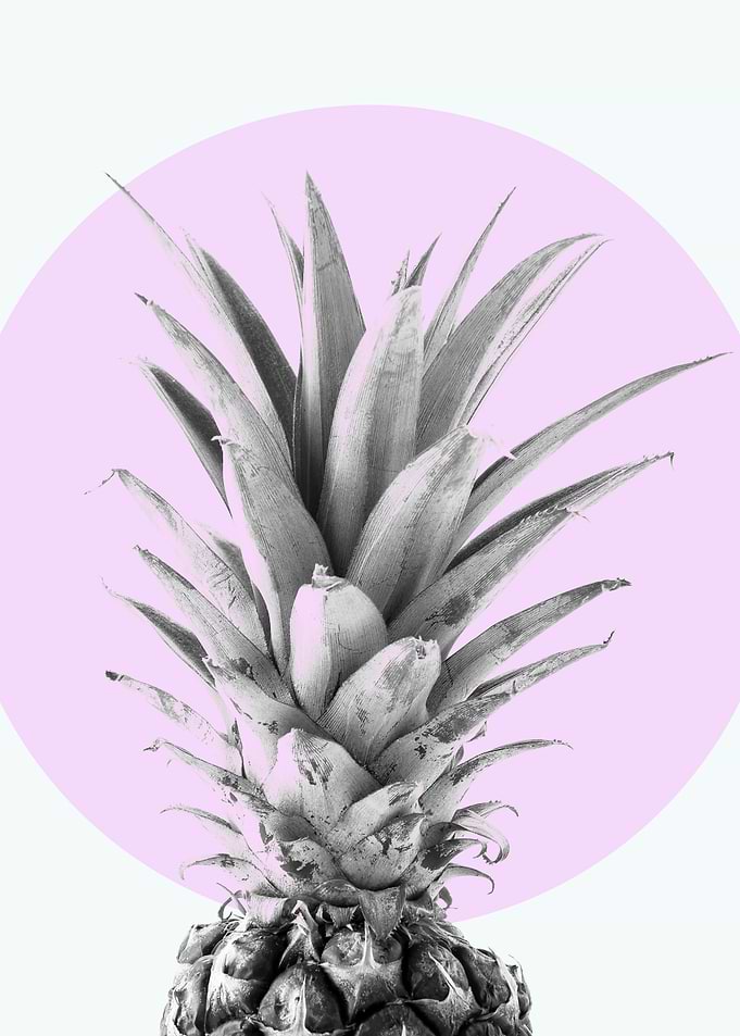 Photo Pineapple IV