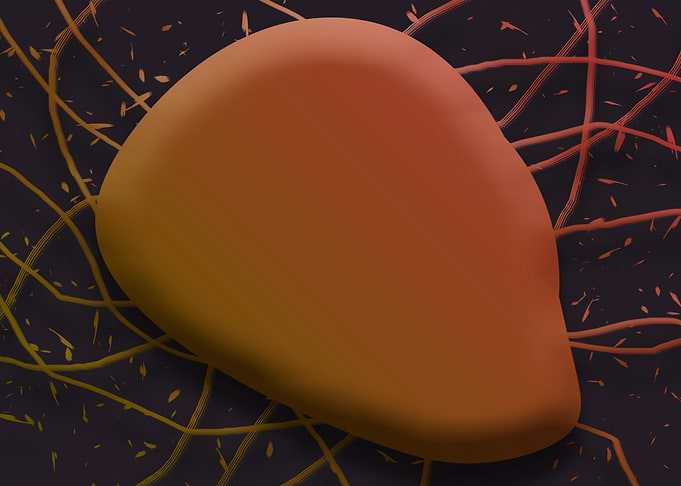 Abstract heart