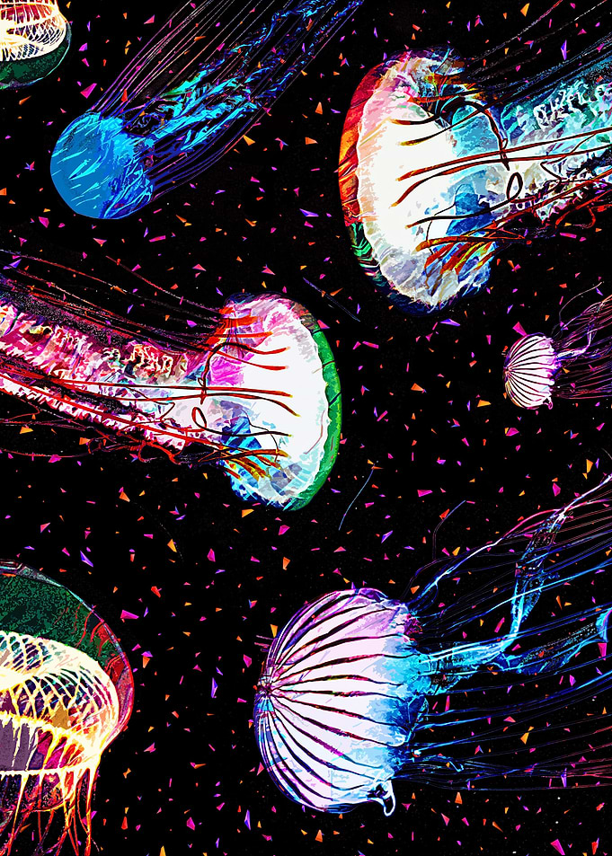 Jelly A1
