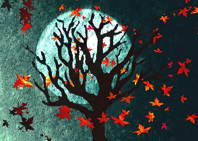Autumn Nightfall