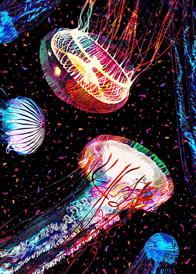 Jelly A2
