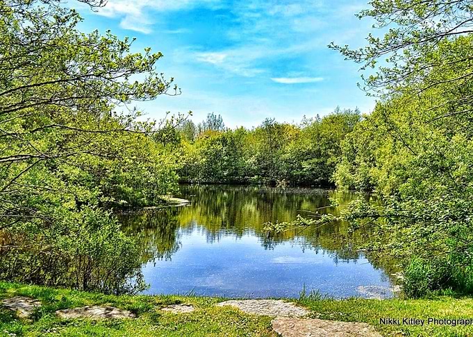 Summer lake