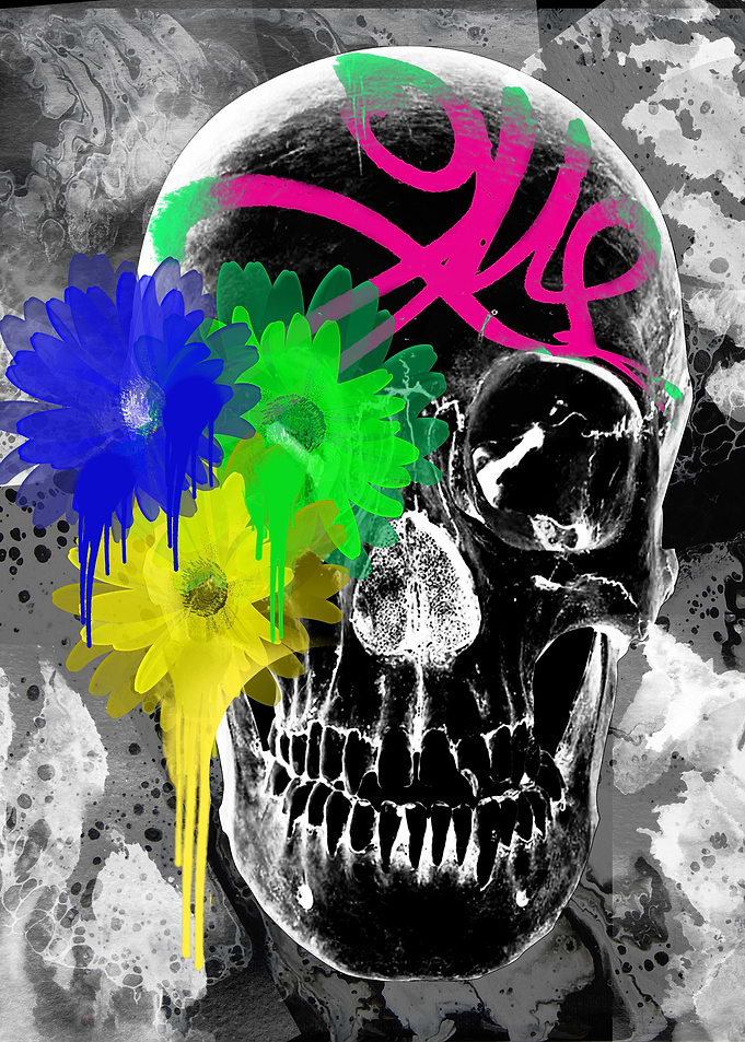 Abstract Skull Art