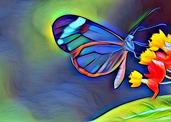 Butterfly Yellow Flower