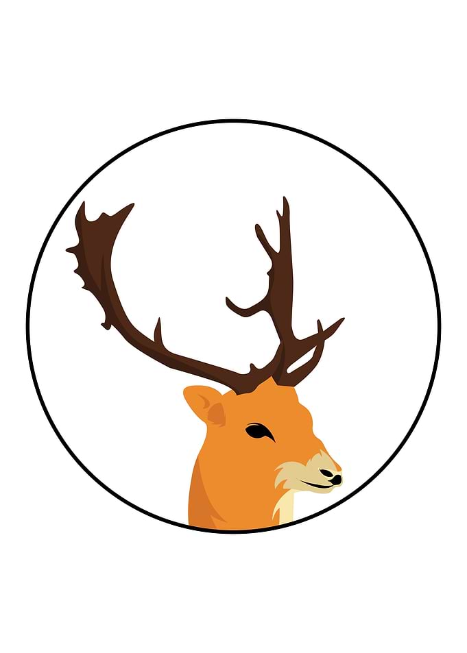 illustration of a deer hea