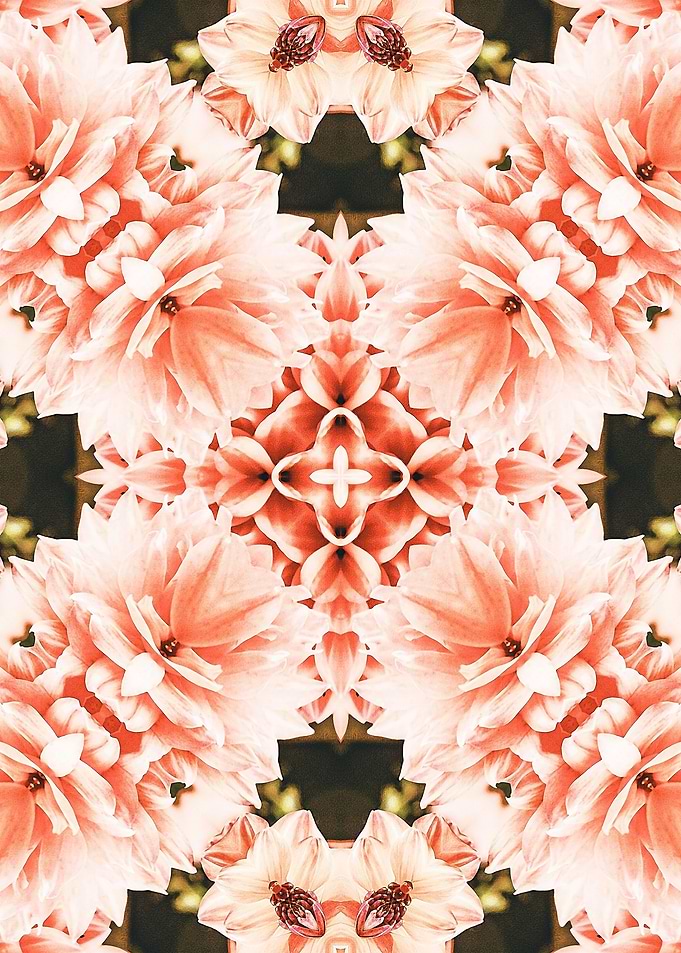 Blush Mandala