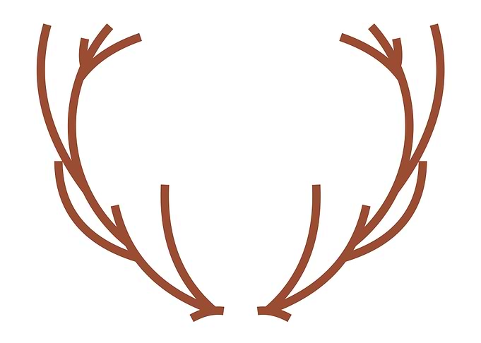 Deer Horn