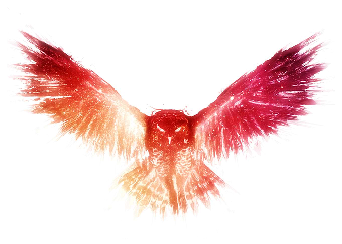 Red Owl