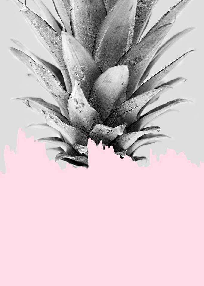 Photo Pineapple V