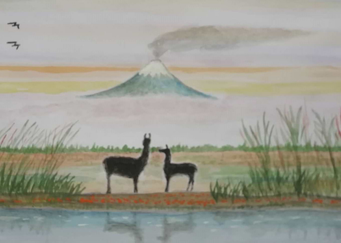 Llamas from Cotopaxy