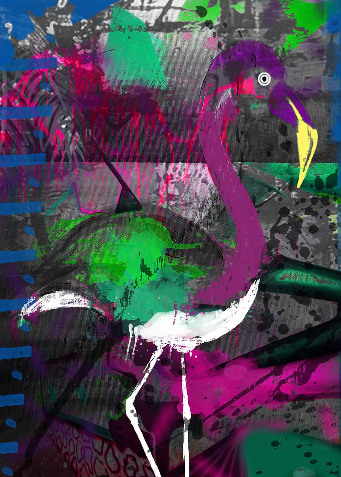 Flamingo