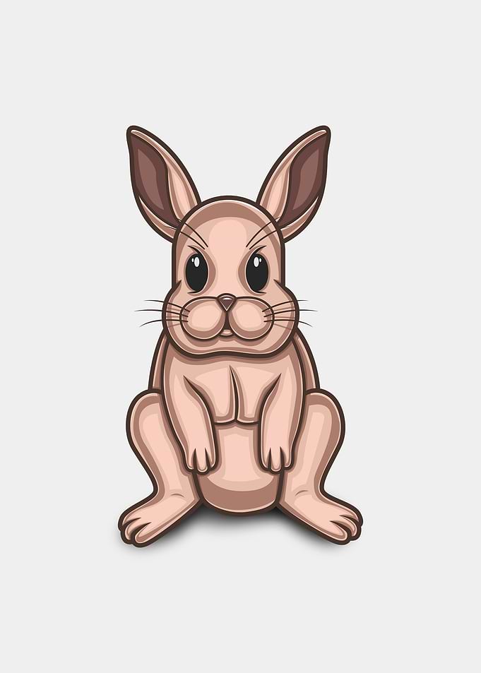 Rabbit