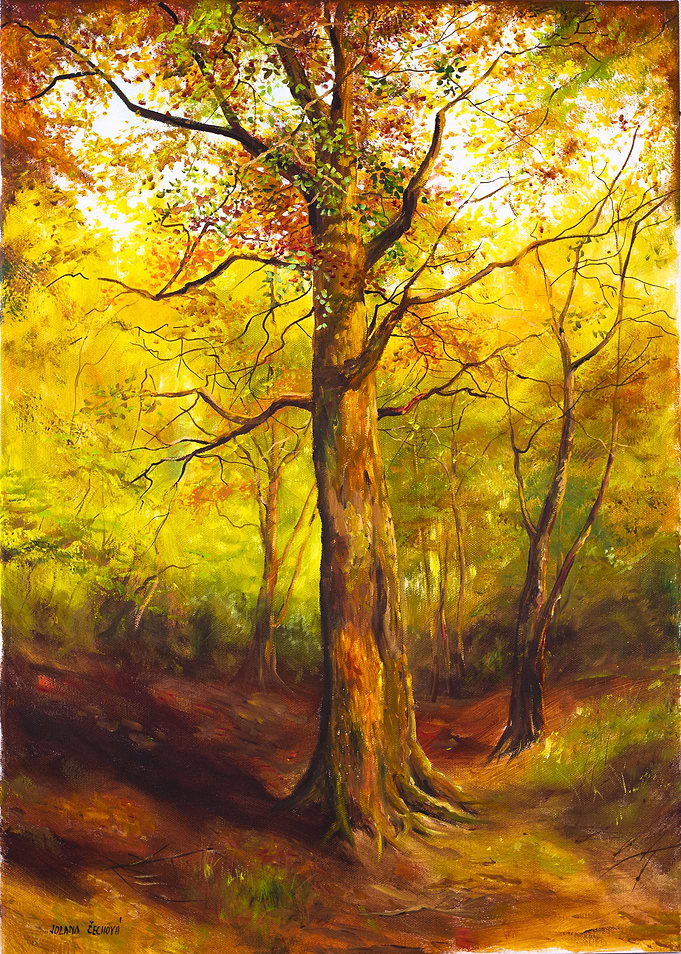 Tree in autumn