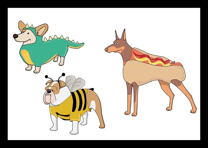 Animals in other Costumes