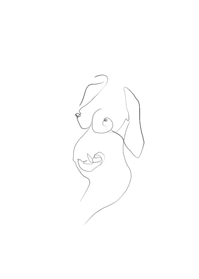 Pregnant lady artwork