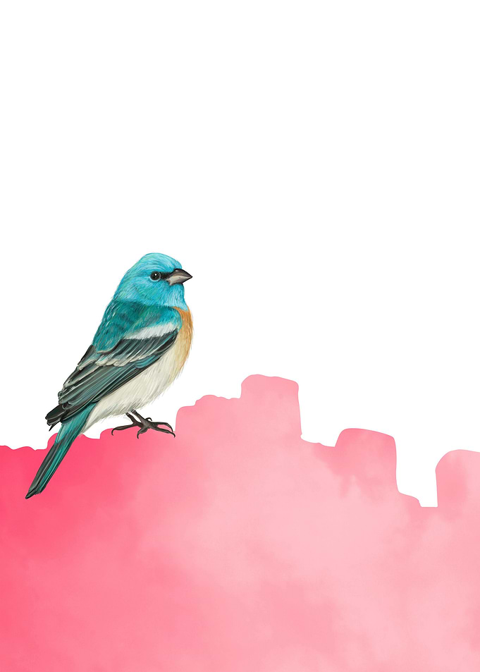 Bird On Pink