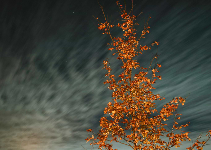 Dusk Sky