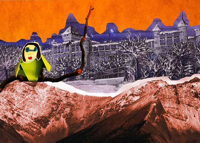 Bird in the mountains