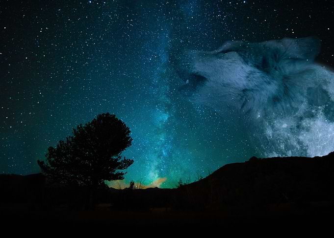 Primal Night Spirit