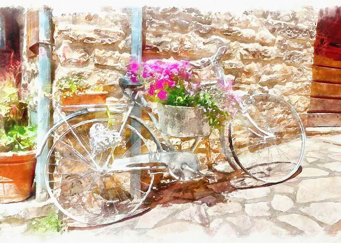Bicycle and flowers