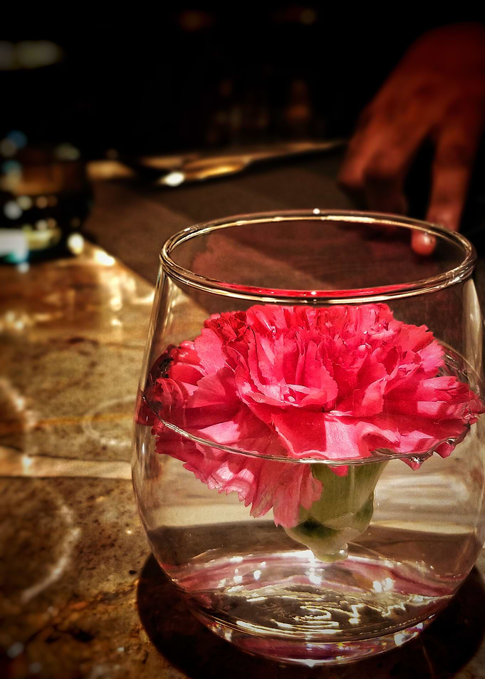 Lost In Carnation