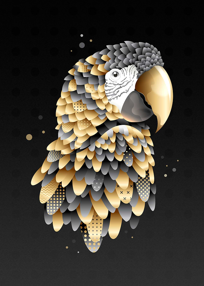 Royal macaw