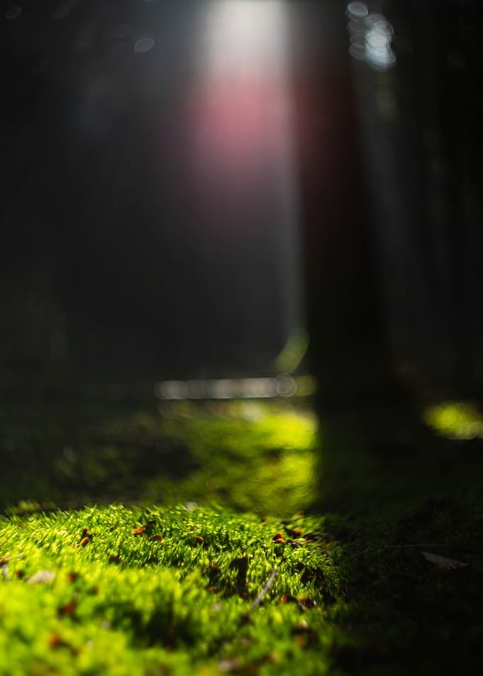 Lightplay