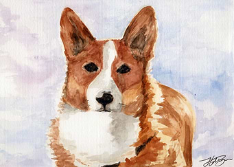 Corgi