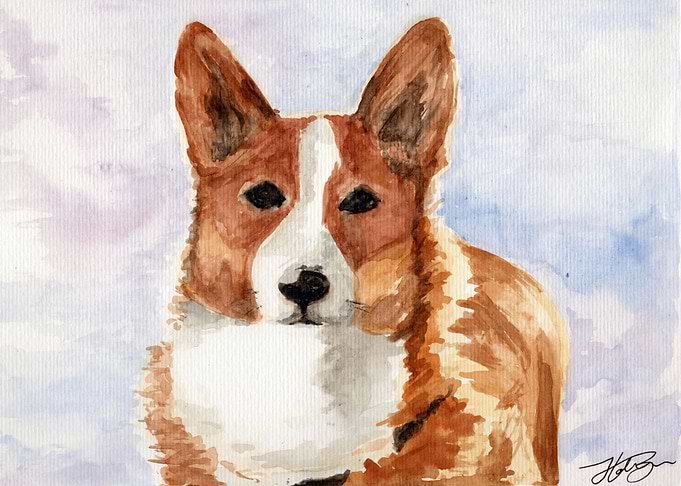 Corgi