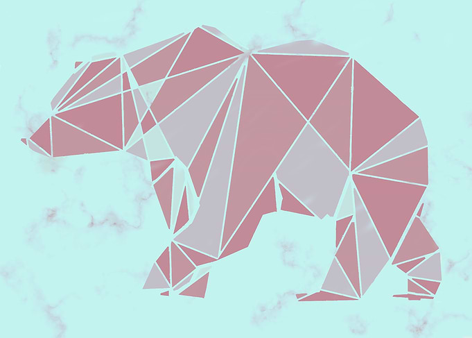 Nordic bear