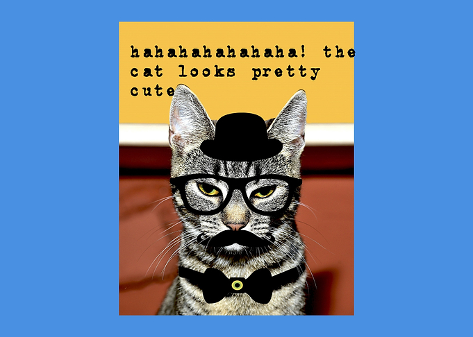 cats costume party