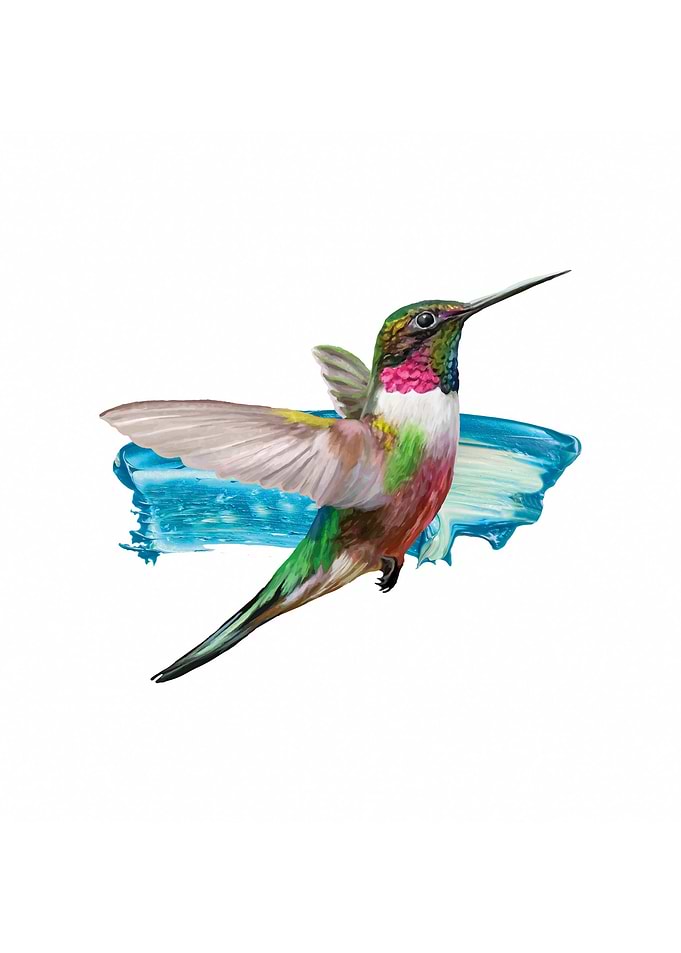 Hummingbird I