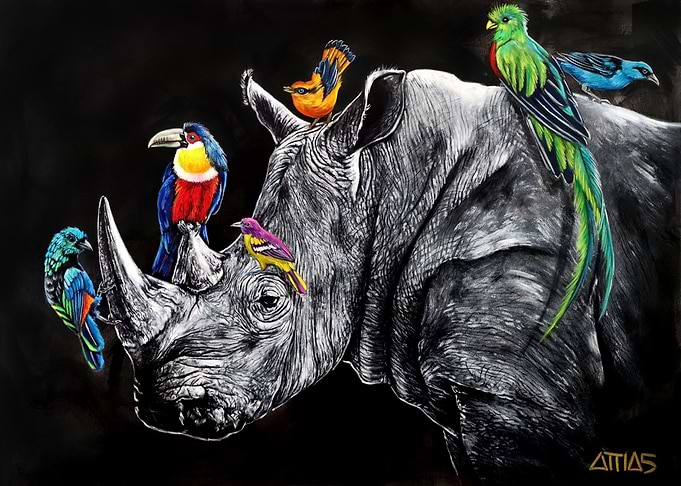 Rhinoceros Symbiose