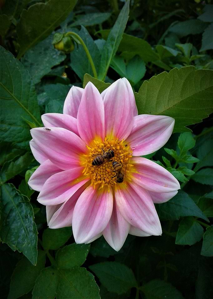Beeeutiful