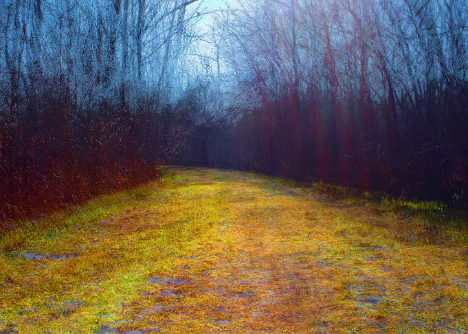 Dark Path