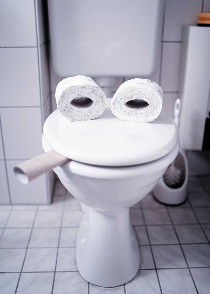 Smiling Toilet