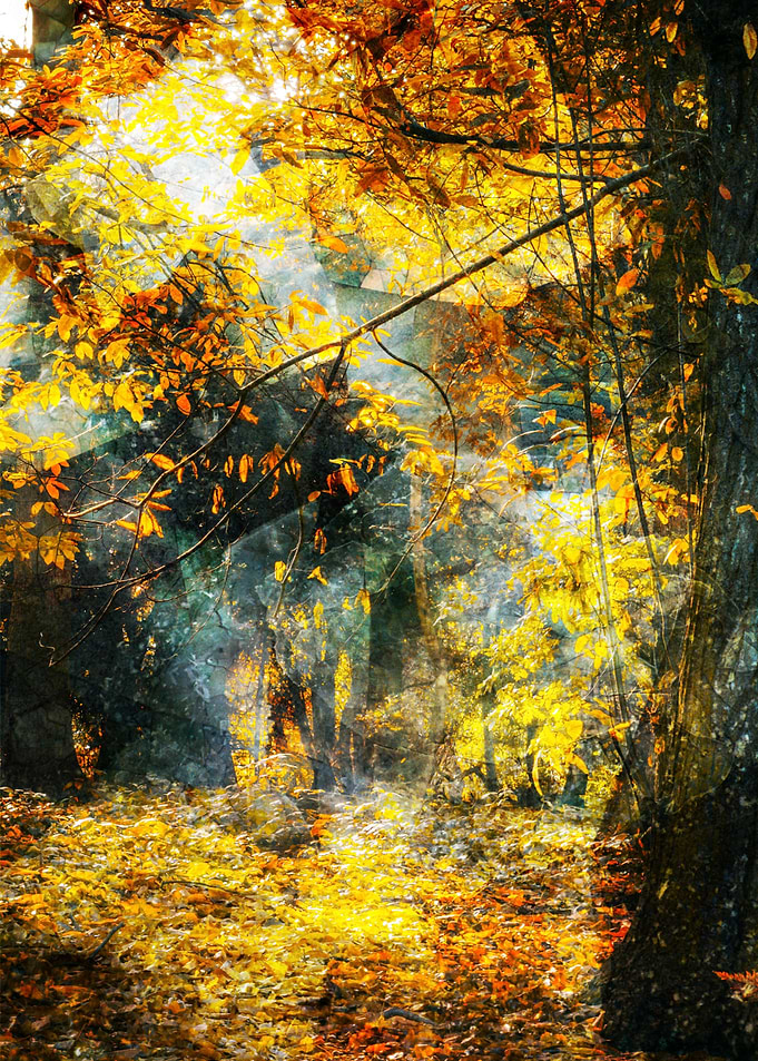 Autumn I