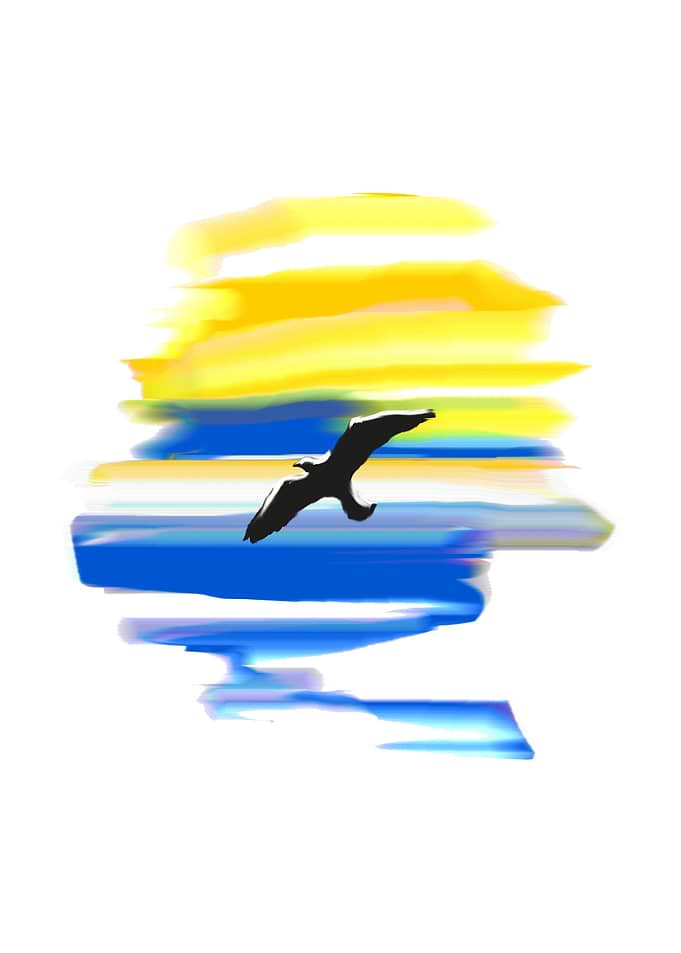 Seagull3