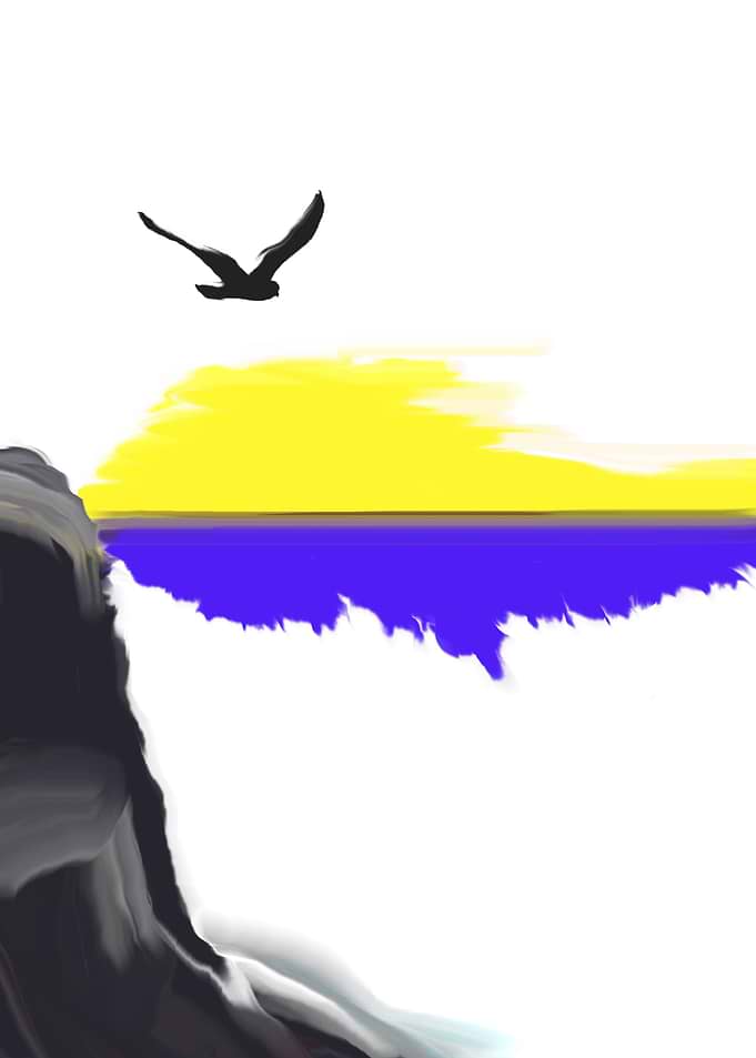 Seagull1